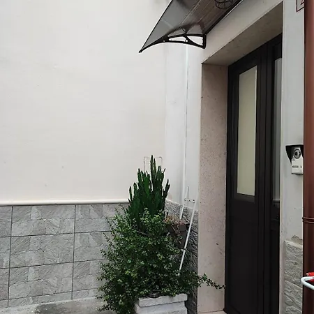 Grandfather's House